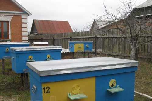 На Гребінківщині викрали з пасіки вісім вуликів з бджолосім'ями