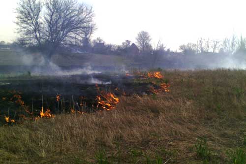 Упродовж минулої доби рятувальники Полтавщини ліквідували 6 загорянь сухої рослинності