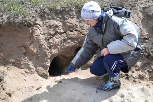 На Полтавщині розпочато весняну кампанію проти сказу
