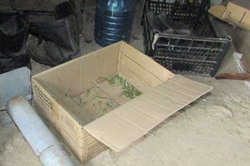 У жителя Гребінки вилучили наркотичну речовину