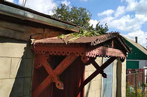 У господарстві жителя м. Пирятин поліція виявила рослини коноплі і висушений канабіс