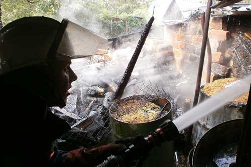 У Гребінці горіли дрова разом з господарчою будівлею