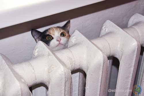 З 16 жовтня у Гребінці розпочинається опалювальний сезон 