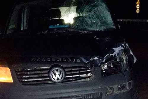 ДТП на Полтавщині: загинуло двоє пішоходів