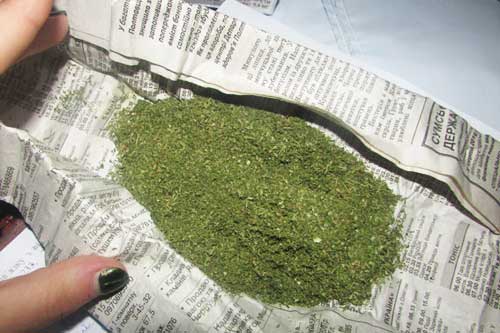 В Гребінці у 18-ти річного місцянина вилучили наркотики