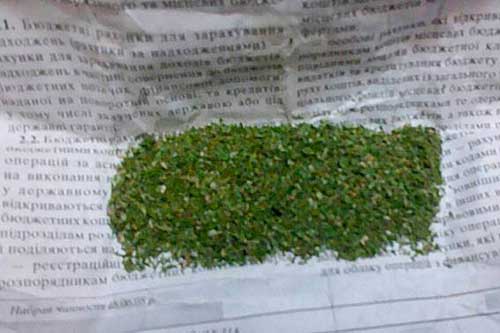 В Лубнах поліцейські у місцевого жителя вилучили «канабіс» 