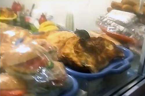 Як у Пирятині в кіоску по їжі бігають миші