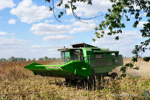 На Полтавщині ліквідовано злочинну групу, яка проводила махінації із сільгосппродукцією