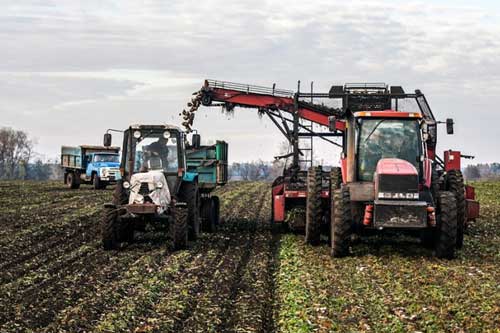 Про стан комплексу осінньо - польових робіт в господарствах Гребінківщини