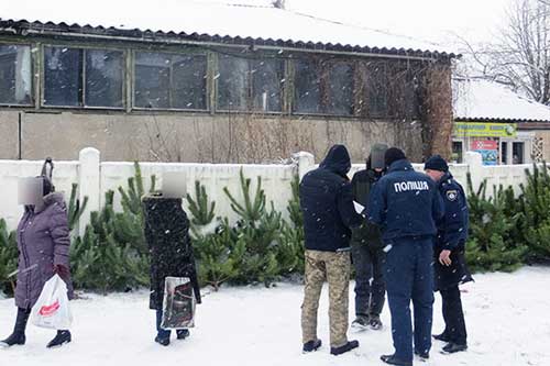 Правоохоронці Полтавщини виявили низку фактів незаконної торгівлі ялинками