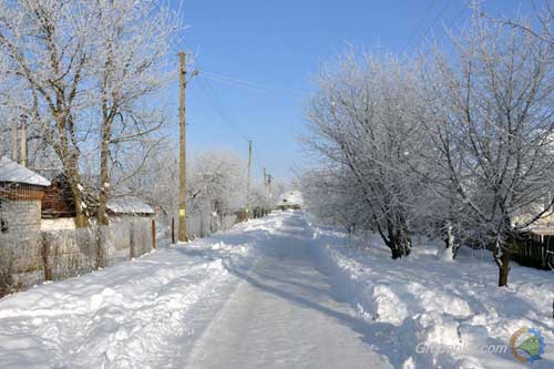 Яка техніка прибирала Гребінківщину від снігу? 