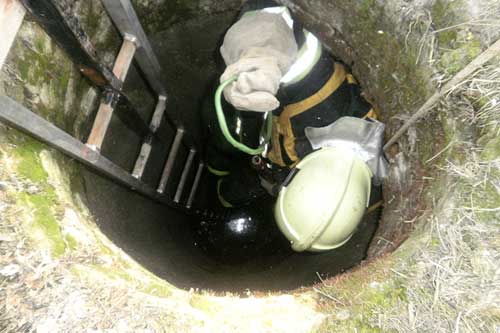 У Пирятині рятувальники витягли собаку, яка впала у каналізаційний колодязь