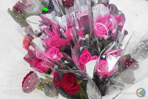 Міжнародний жіночий день: скільки коштують квіти у Гребінці