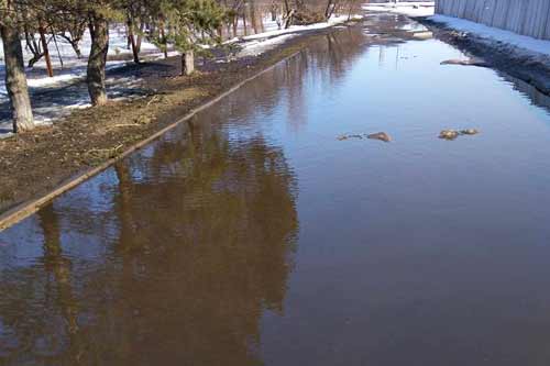 Озеро замість дороги: одну з вулиць Гребінки затопило водою