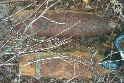 На Лубенщині в лісопосадці виявлено два артилерійські снаряди часів Другої світової війни 