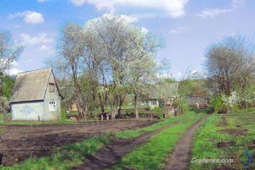 Опитування: Травневі свята гребінківці планують використати для посадки городу