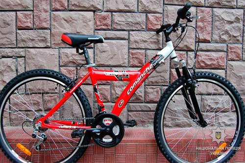 В Лубнах заступник начальника відділу поліції затримав грабіжника