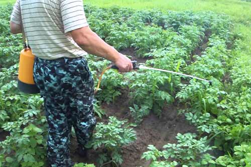 52-річний полтавець отруївся ядом від комах