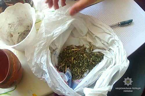 На Лубенщині поліцейські в ході обшуку у місцевого жителя вилучили канабіс