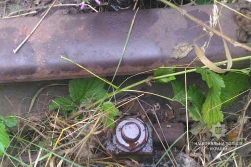 На Полтавщині попався зловмисник, що розбирав залізничну колію на металобрухт
