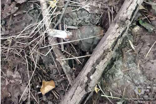 Житель Полтавщини в лісонасадженні поблизу Лубен знайшов ручну гранату