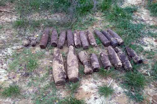 Поблизу селища Оржиця виявлено 11 артснарядів калібру 76 мм та 50 мінометних мін різного калібру часів минулих війн