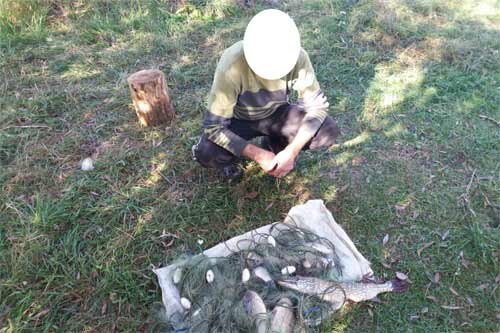 Полтавський рибоохоронний патруль: «Порушники лише за першу половину жовтня завдали збитків на 38270 грн»