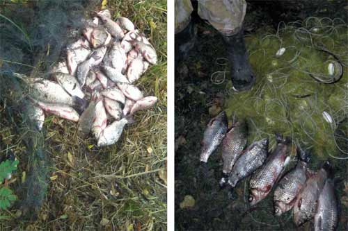 За вихідніПолтавський рибоохоронний патруль викрив 30 порушень Правил рибальства