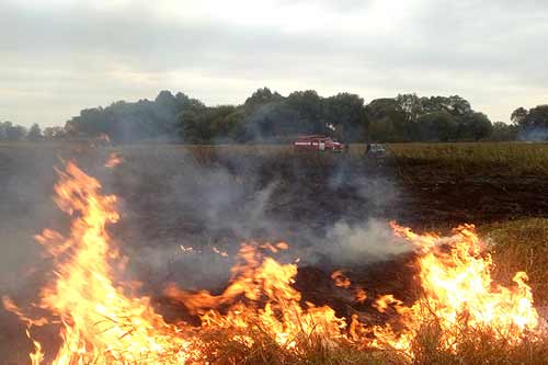 На Гребінківщині вщент згорів комбайн "Дон 1500А"