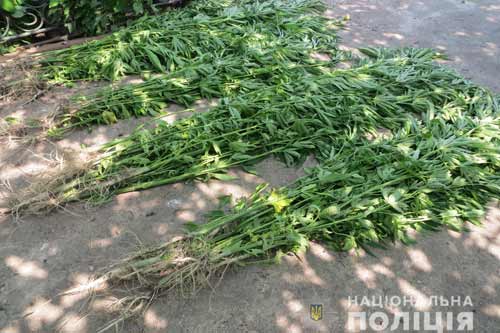 Результати операції «Мак» на Полтавщині 