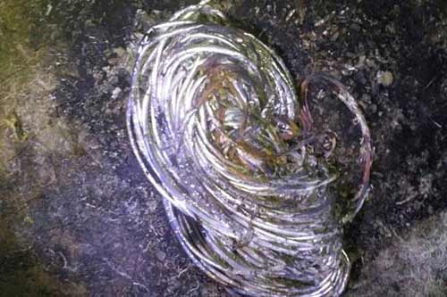 На Полтавщині з початку року поліцією розкрито понад 270 фактів крадіжок телекомунікаційного обладнання