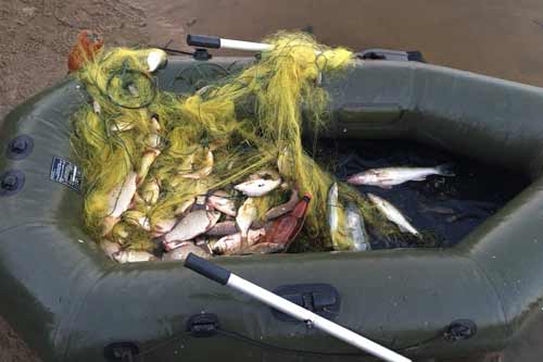 Інспектори Полтавського рибпатруля виявили 497 порушень правил рибальства