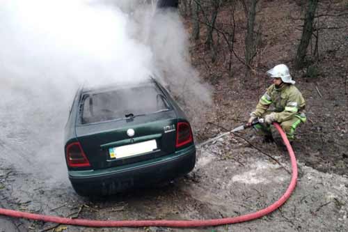 На Полтавщині автомобіль "Шкода" вразівся в дерево і загорівся, 30-річний водій загинув на місці