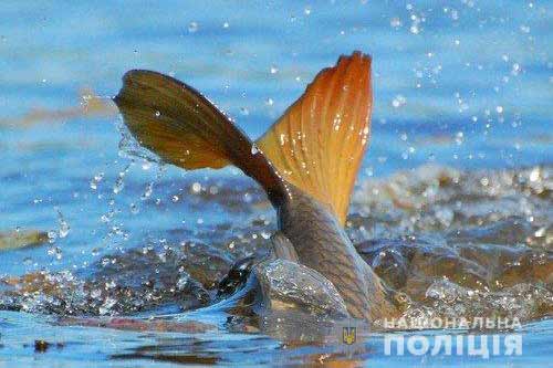 З 1 квітня на Полтавщині розпочинається нерестова заборона на вилов біоресурсів