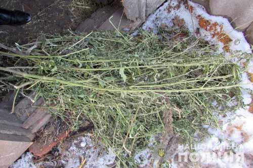 На Оржиччині внаслідок обшуку було вилучено наркотичні засоби