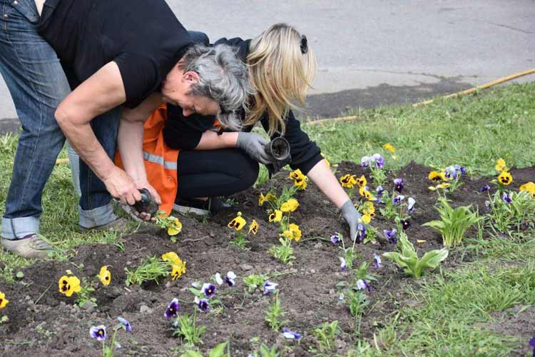 У Пирятині розпочато роботи з озеленення міста