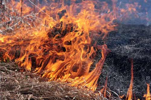 У Гребінці 81-річна жінка отримала сильні опіки внаслідок спалювання сухої рослинності