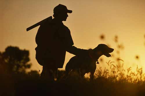 На Полтавщині відкривається сезон полювання на пернату дичину