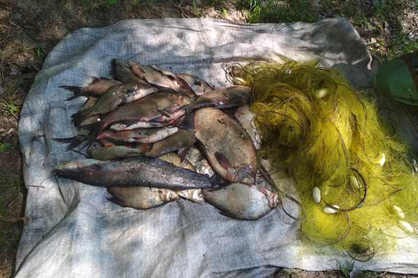Полтавський рибоохоронний патруль: у травні браконьєри завдали збитків більше 118 тис. грн.