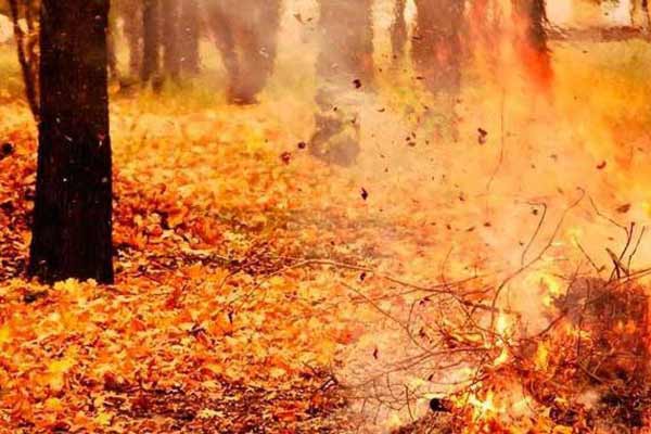 Паління сухої трави призвело до загибелі чоловіка на Полтавщині