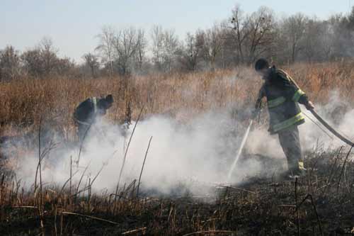 На Полтавщині горить торфовище на площі одного гектара