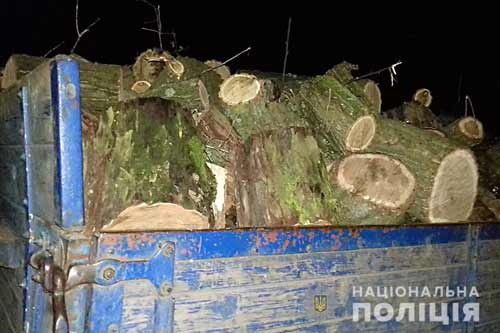 На Полтавщині затримали вантажівку з викраденими лісоматеріалами