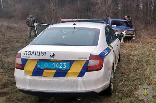 Браконьєрів, що вбили косулю, упіймали на Полтавщині