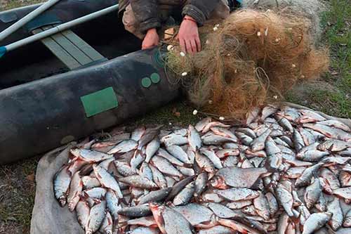 На Полтавщині поліцейські викрили чоловіка, який незаконно виловлював рибу