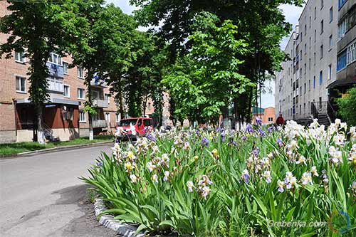 У Гребінці оголосили Конкурс на кращий «Кращий благоустрій прилеглої території»