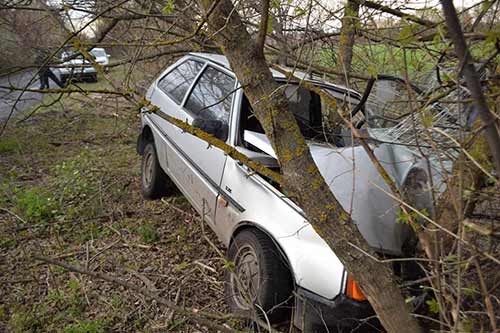На Лубенщині внаслідок ДТП автівка врізалася у дерево