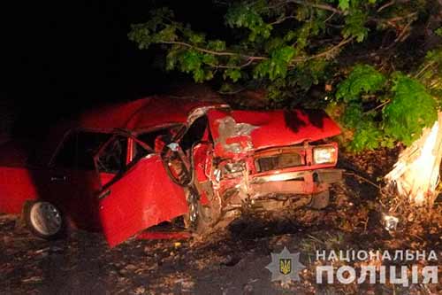 ДТП на Полтавщині: вночі автомобіль з’їхав в кювет та зіткнувся з деревом