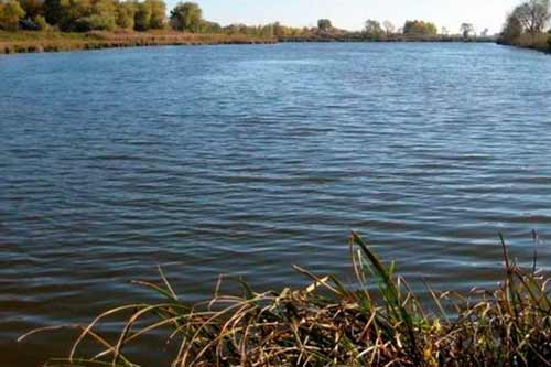 У Лубнах зі ставка дістали тіло 32-річного чоловіка