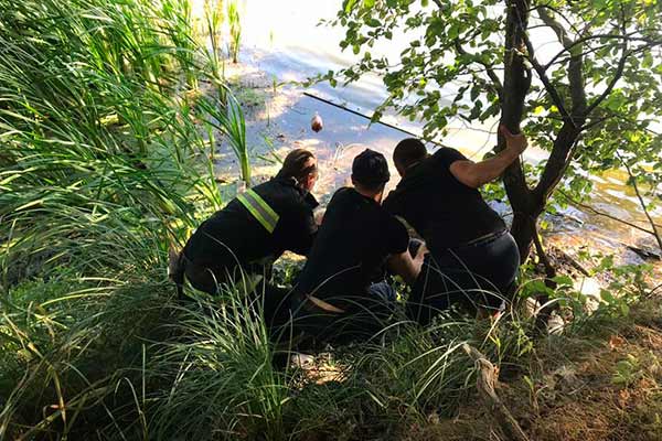 У Лубнах чоловік застряг під берегом у мулі