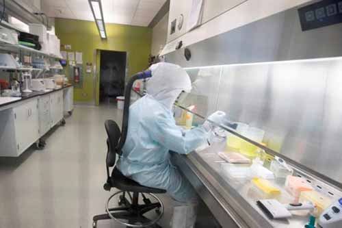 Поширення коронавірусу на Полтавщині: 35 випадків за добу